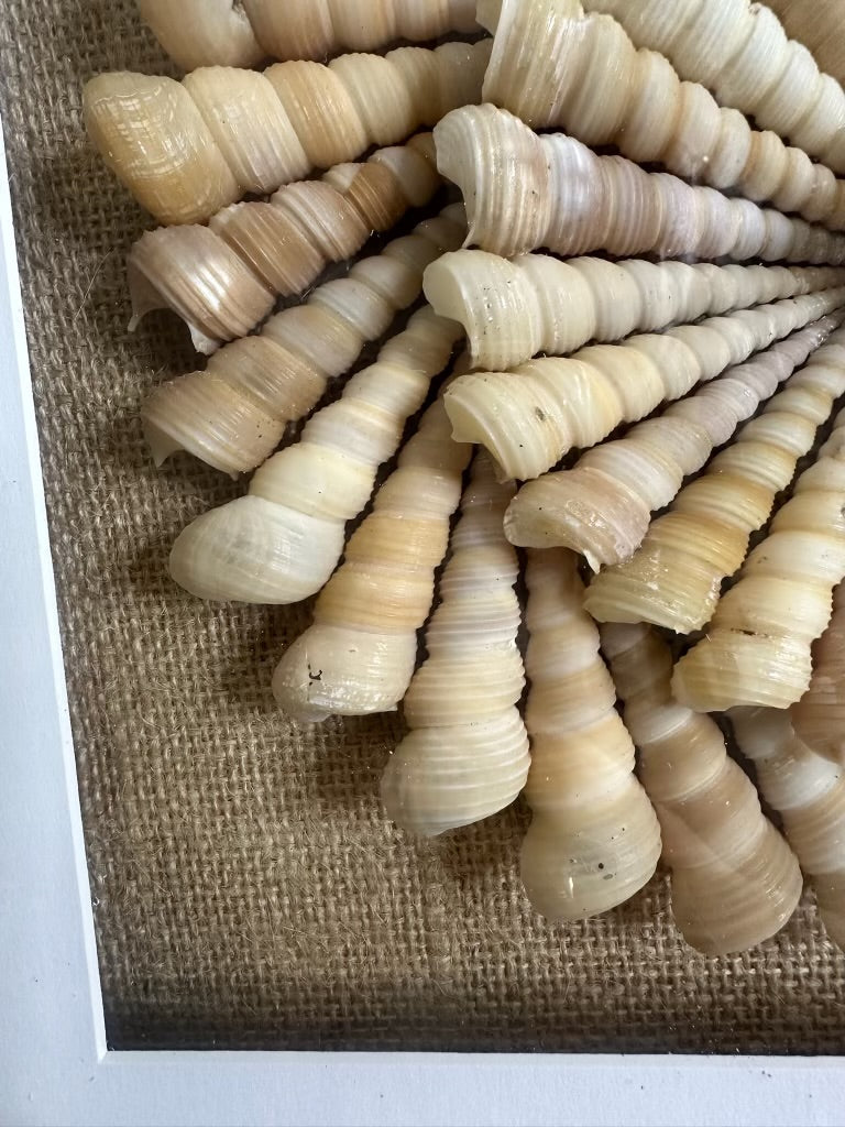 Handmade Shell Mandala - Spiral Conch Shells