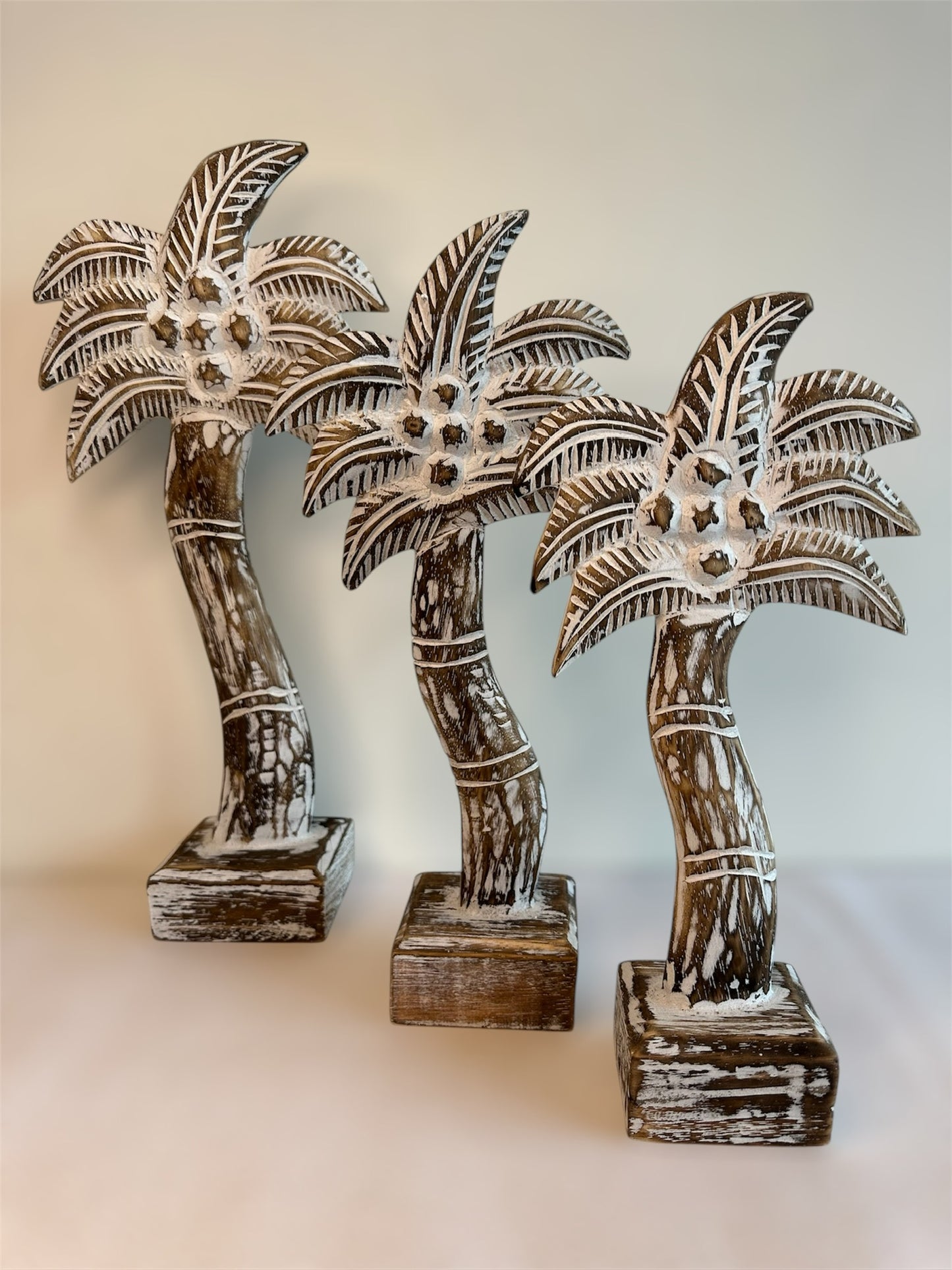 Coconut Palm Tree Set (3)