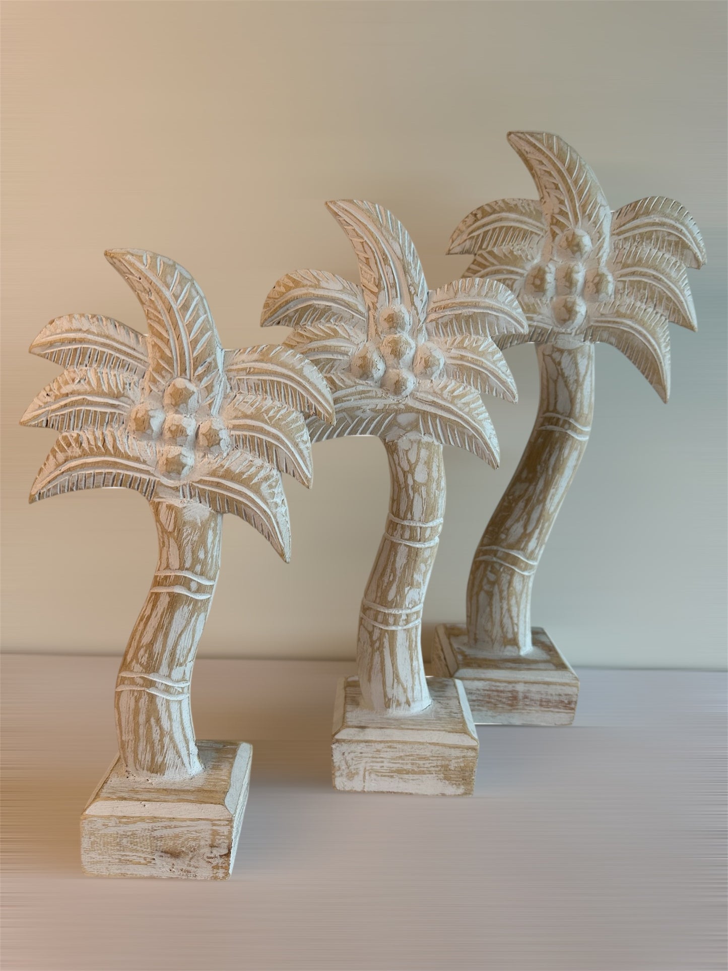 Coconut Palm Tree Set (3)