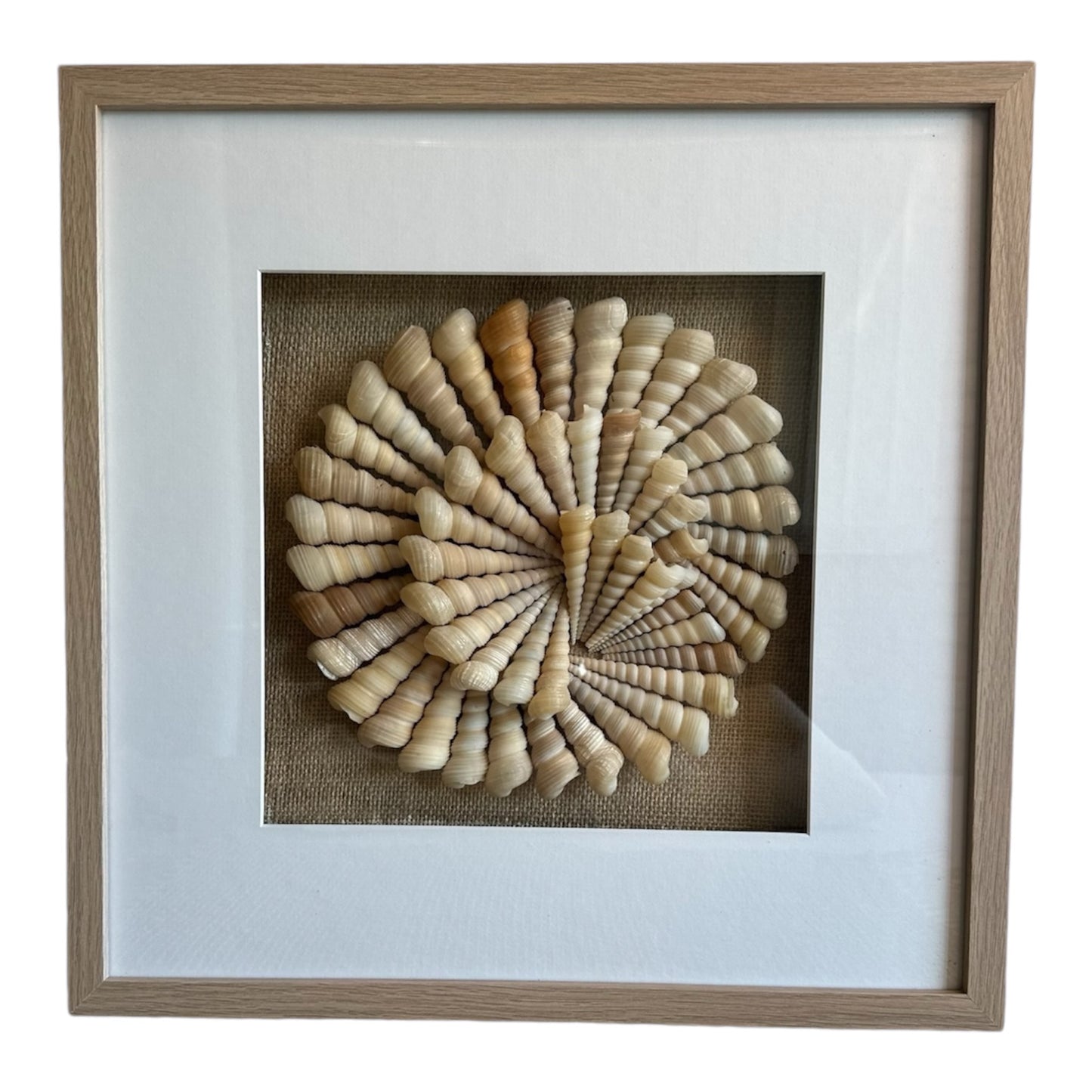 Handmade Shell Mandala - Spiral Conch Shells