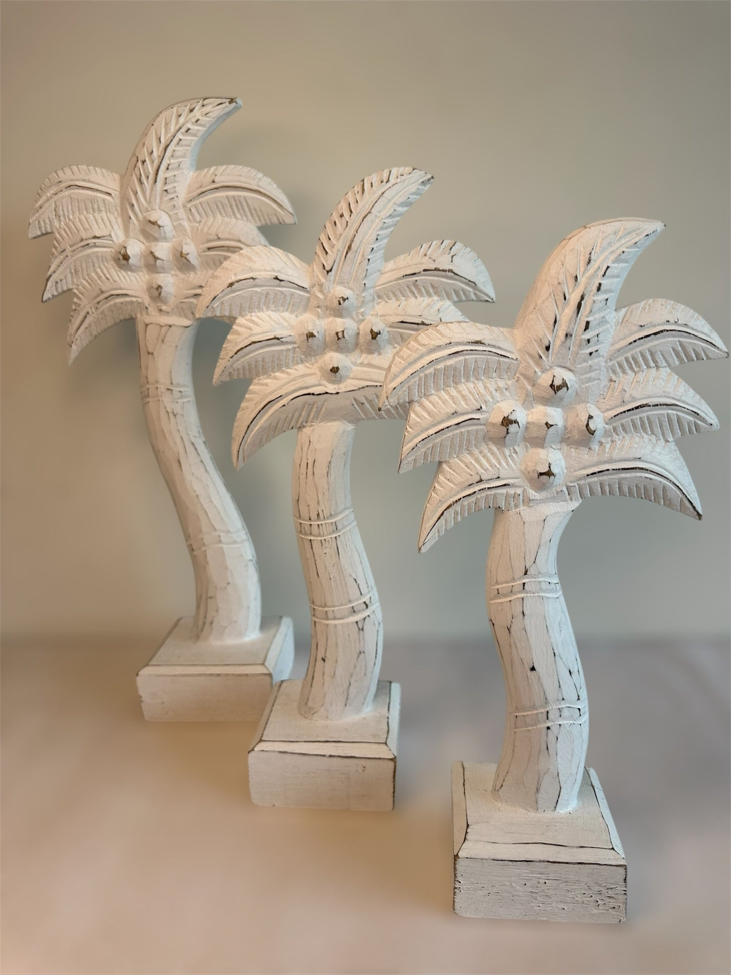 Coconut Palm Tree Set (3)